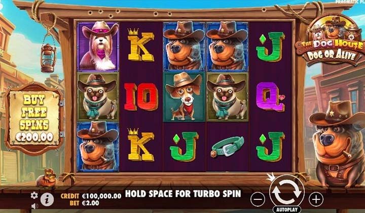 The Dog House Dog or Alive